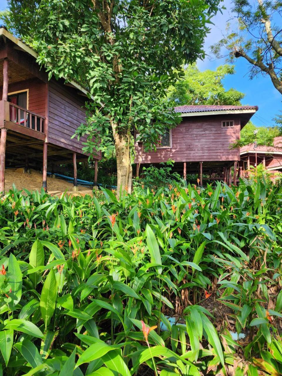 Sweet Jungle Bungalows Kaoh Touch Kültér fotó