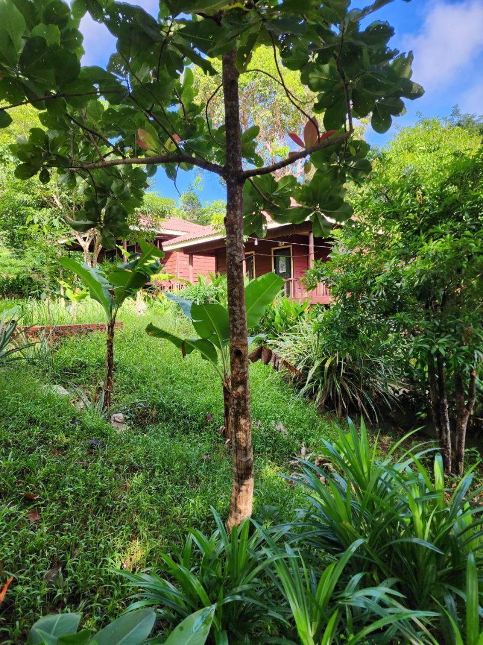 Sweet Jungle Bungalows Kaoh Touch Kültér fotó